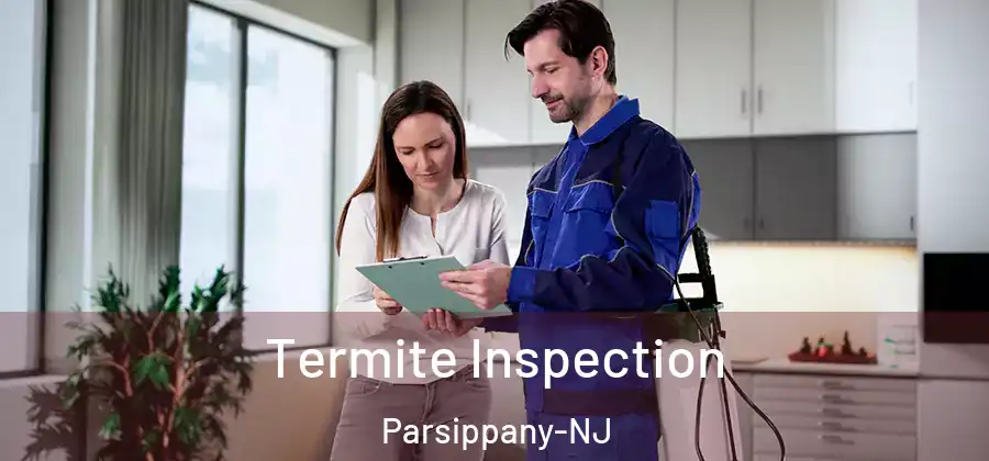 Termite Inspection Parsippany-NJ