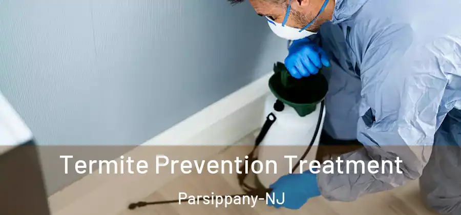 Termite Prevention Treatment Parsippany-NJ
