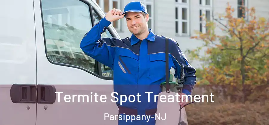 Termite Spot Treatment Parsippany-NJ
