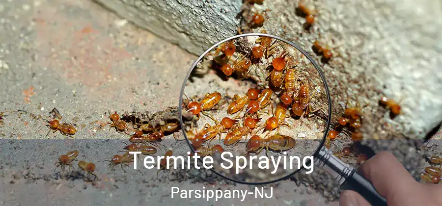 Termite Spraying Parsippany-NJ