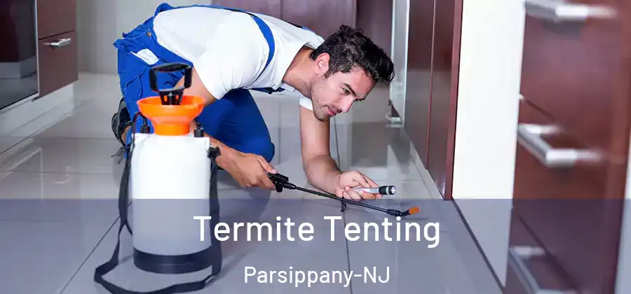 Termite Tenting Parsippany-NJ