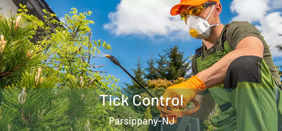 Tick Control Parsippany-NJ