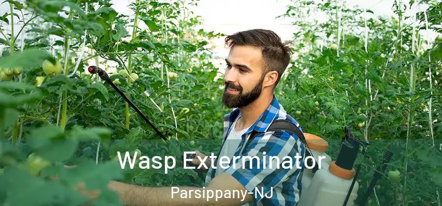 Wasp Exterminator Parsippany-NJ