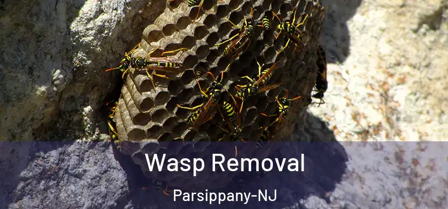 Wasp Removal Parsippany-NJ