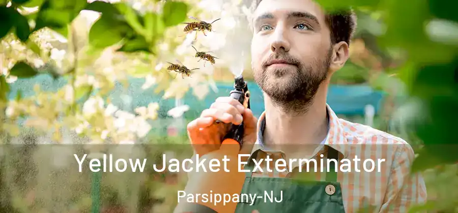  Yellow Jacket Exterminator Parsippany-NJ