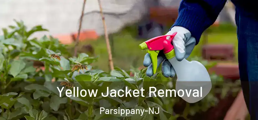 Yellow Jacket Removal Parsippany-NJ
